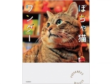 あの方も常連!!クリアスタジオ【レンタルフォトスタジオ】