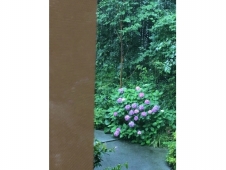物撮りをしよう<クリアスタジオ梅雨の過ごし方>