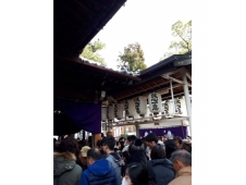 新年、明けましておめでとうございます!