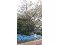 出張撮影