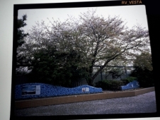 フィルム